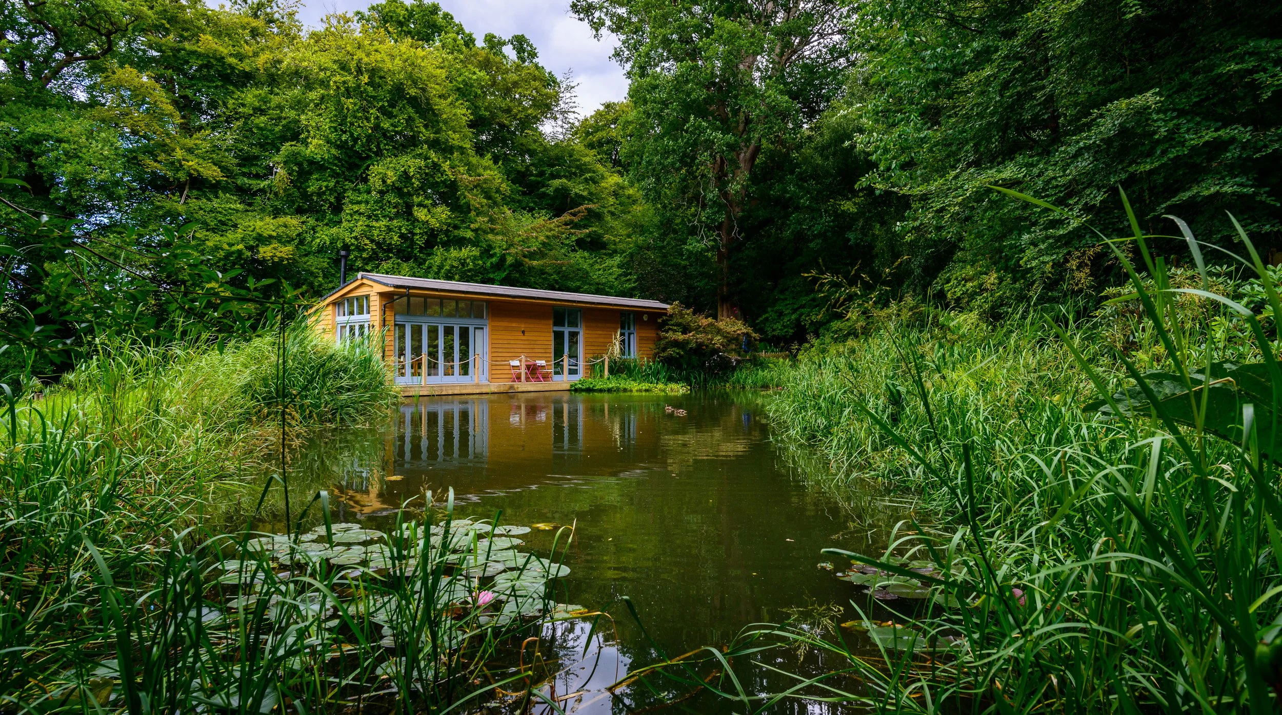 A small wooden house with large windows and a deck, surrounded by lush green trees and bushes, situated by a calm pond with lily pads and tall grass.