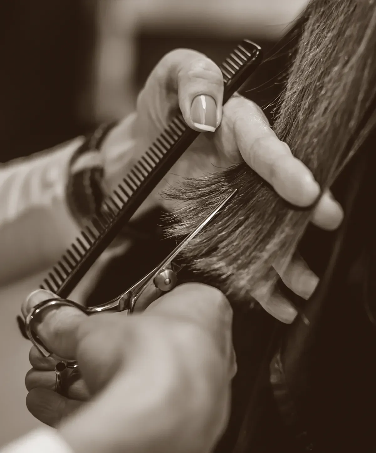 Stylist trimming a client’s hair with precision scissors and comb at Albert Fields salon
