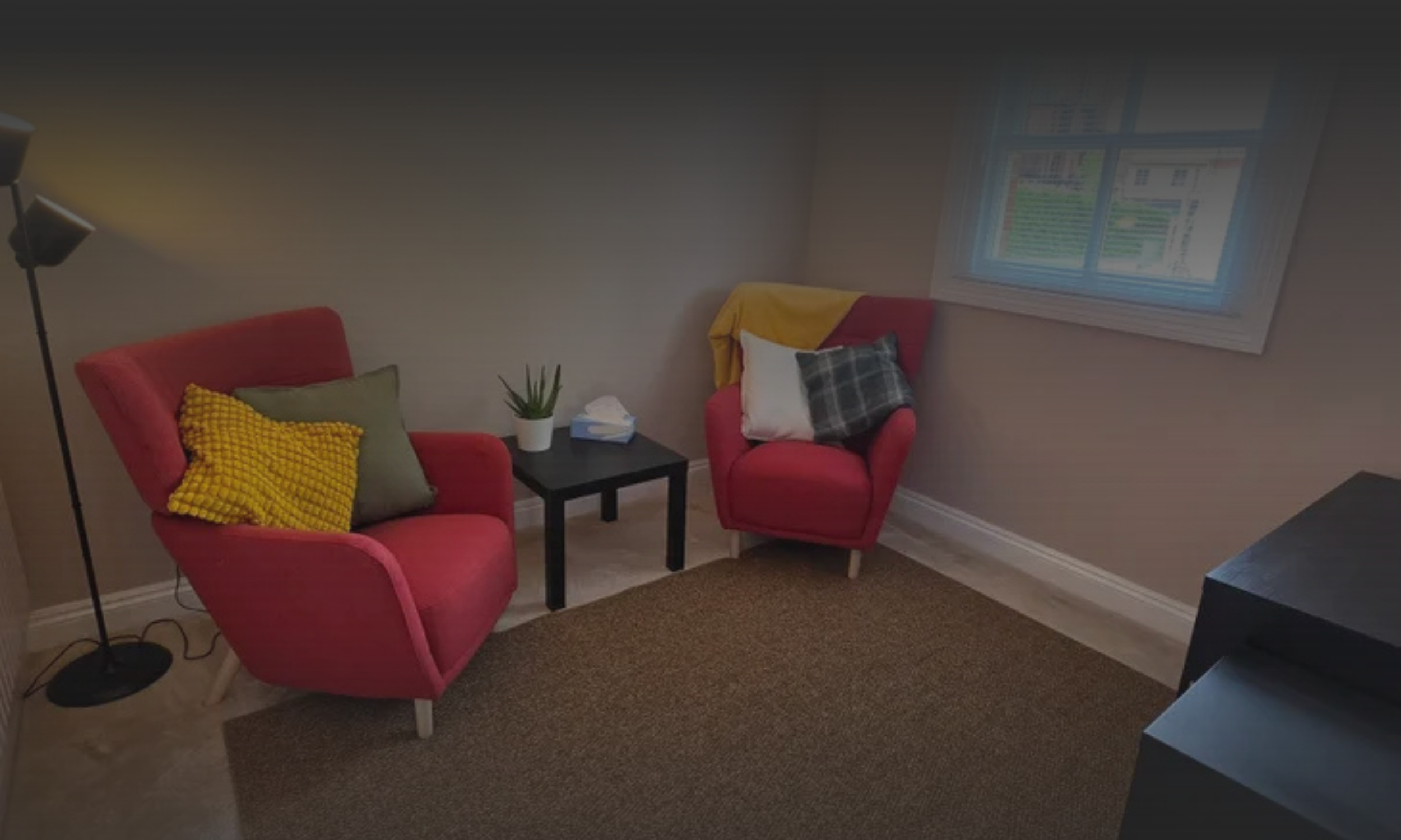 Living room with two pink armchairs, a black coffee table, a potted plant, tissue box, and pillows. A large window with blinds is on the wall, and a floor lamp is on the left side. There is a small brown rug on the beige carpeted floor.