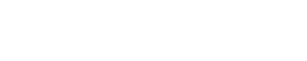 MDM Management Consulting