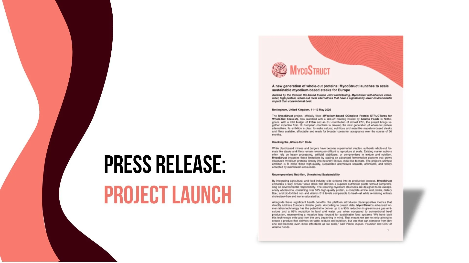 Press Release: MycoStruct project launches