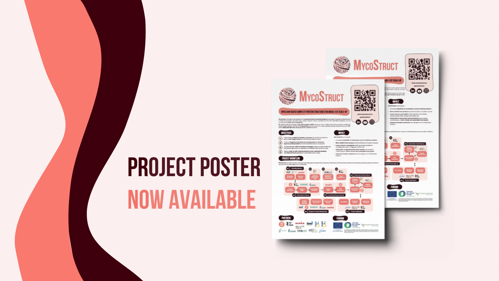 MycoStruct Poster Now Available