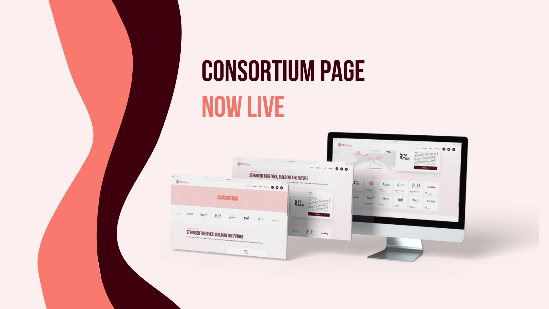 Meet the MycoStruct Consortium