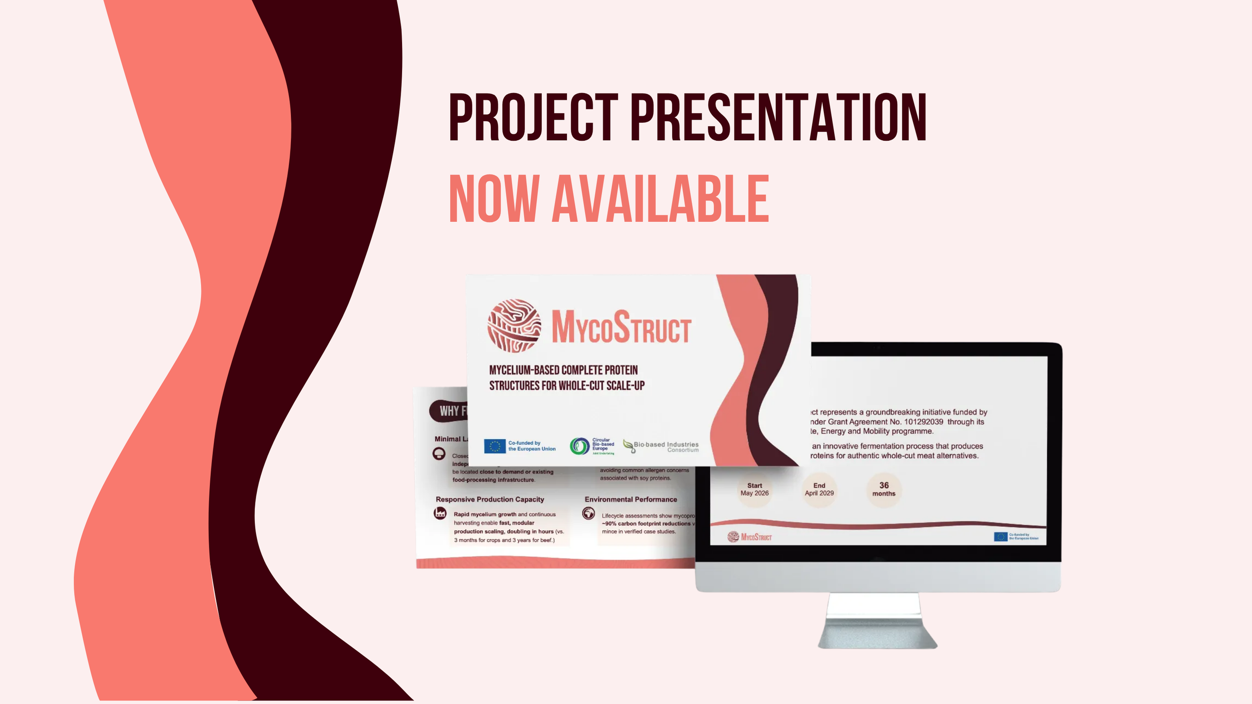 Project Presentation Is Now Available!