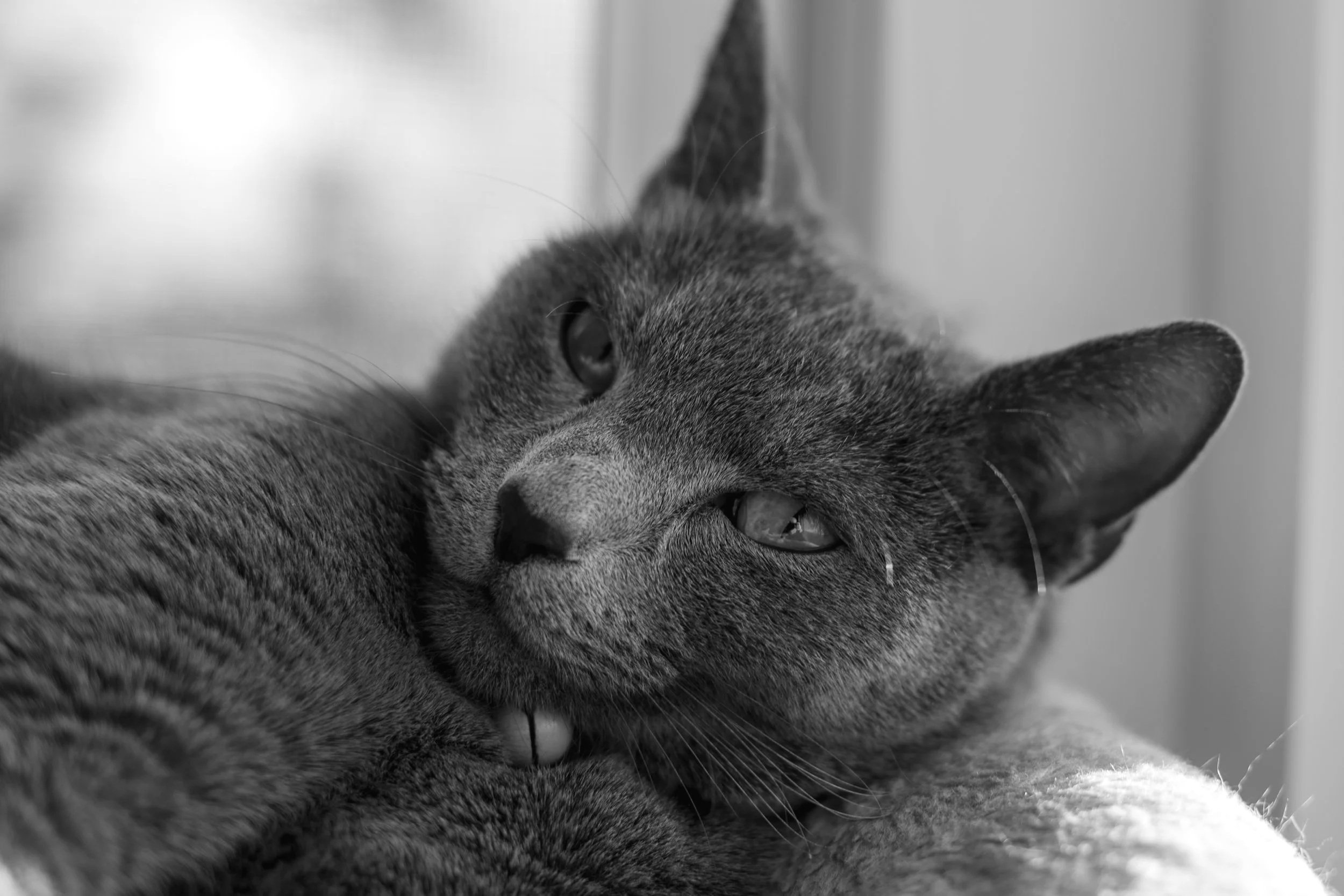 850_1017.jpg
