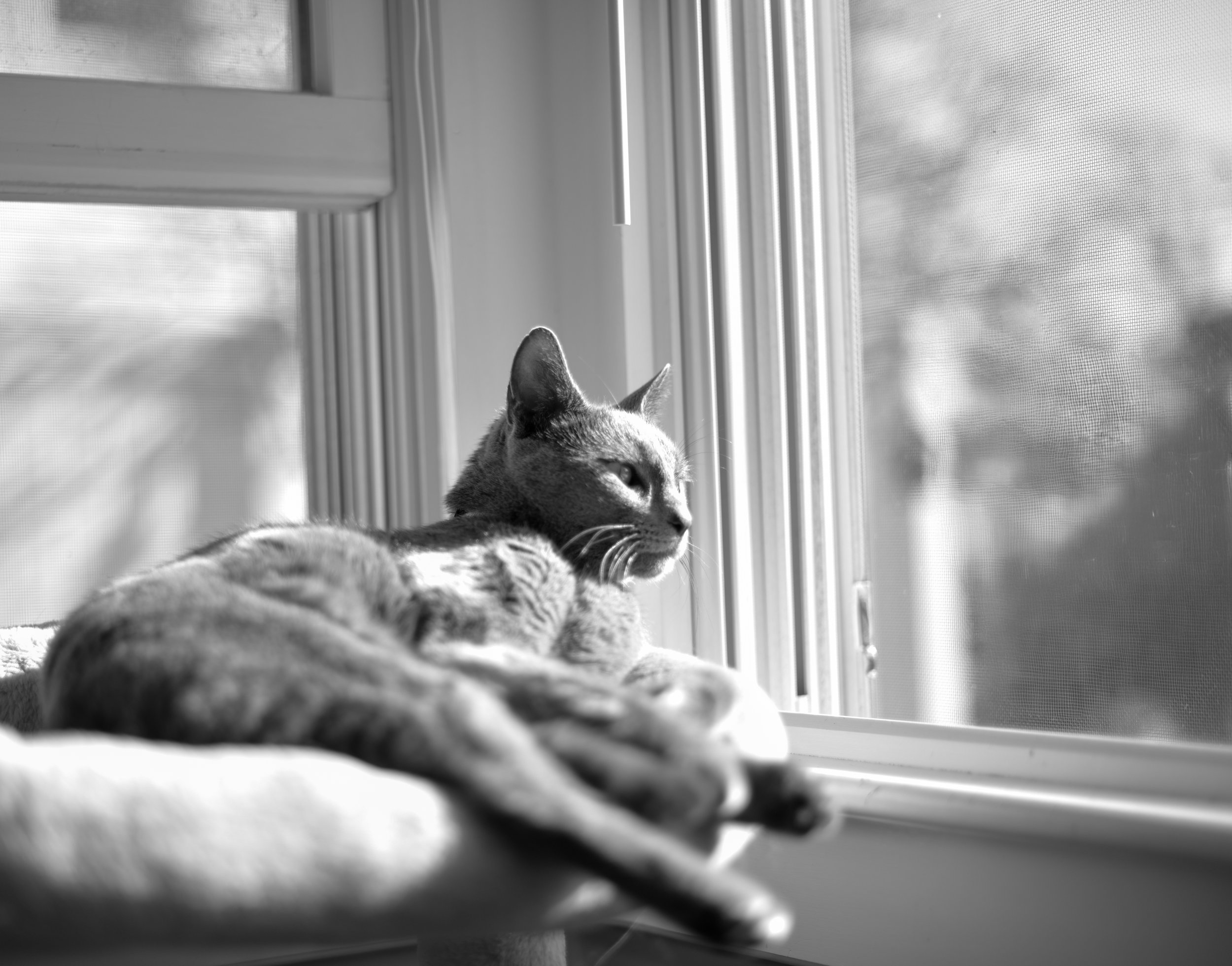 850_0017.jpg