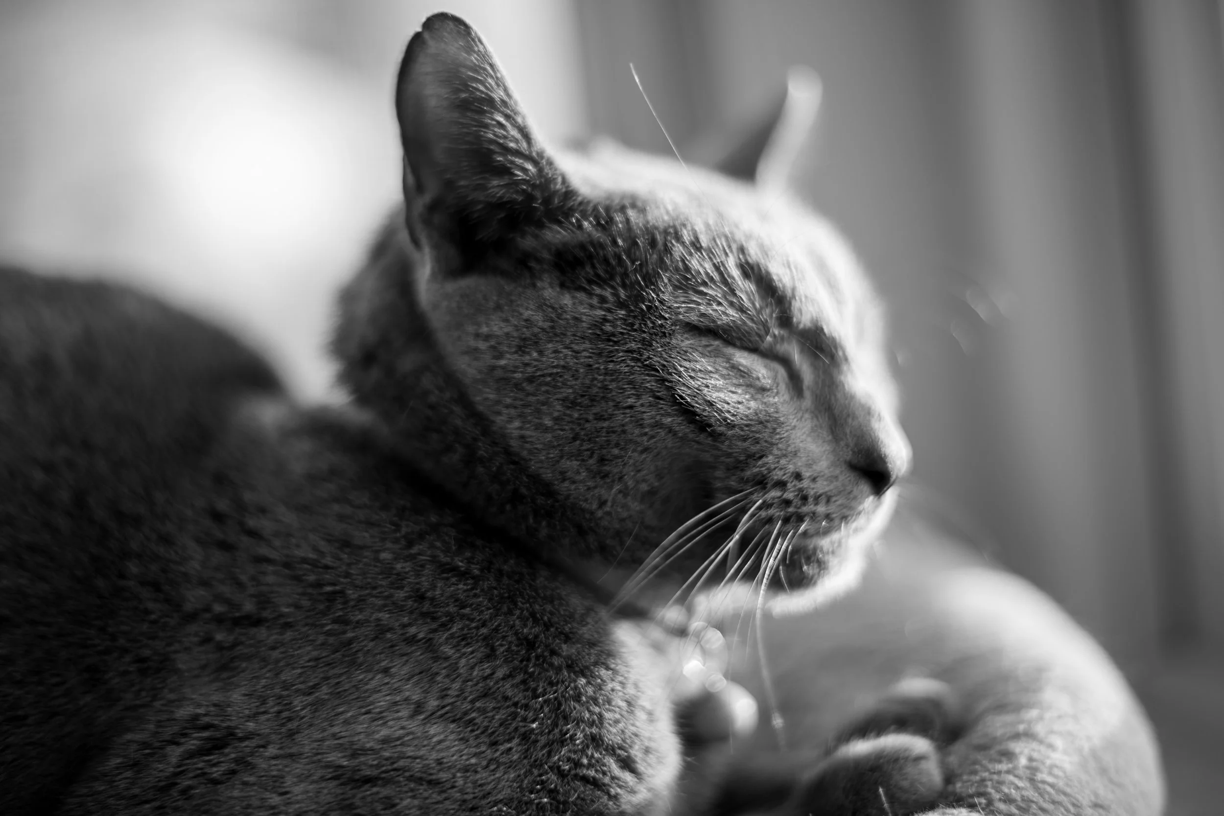 850_0869-2.jpg