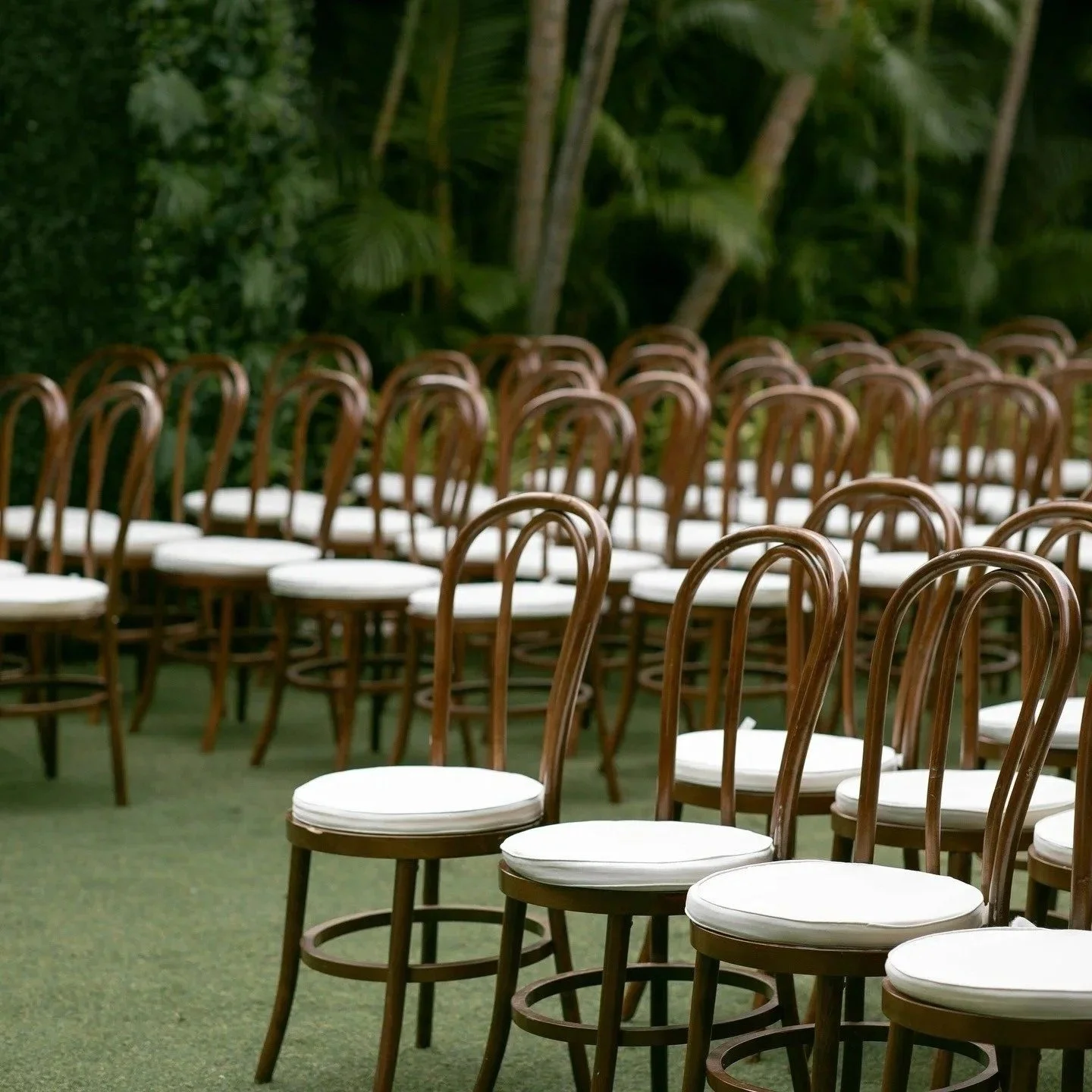 imgi_22_bentwood-chair-rentals.jpg
