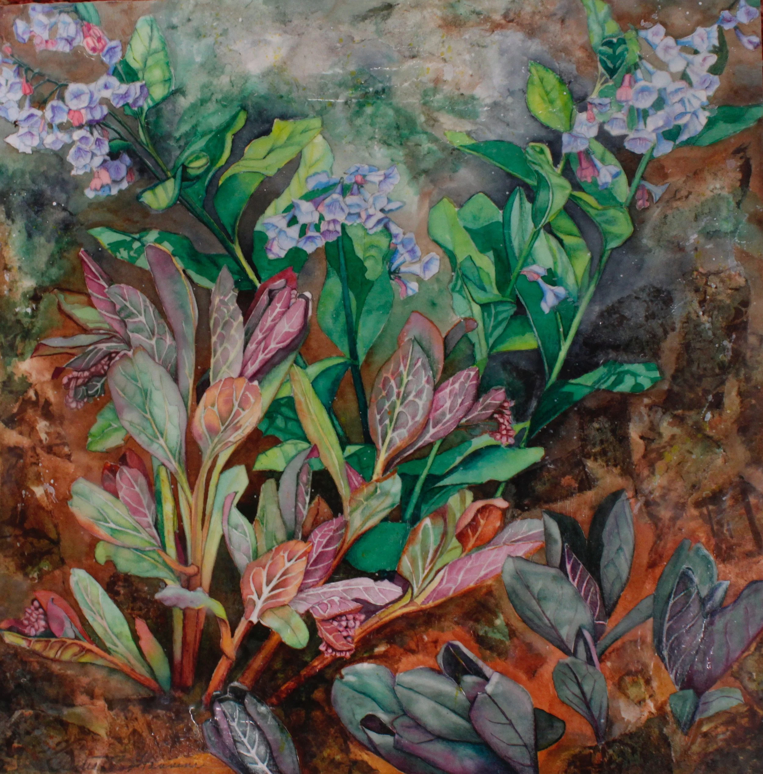 Being with Plants: Seeing Nature with Art