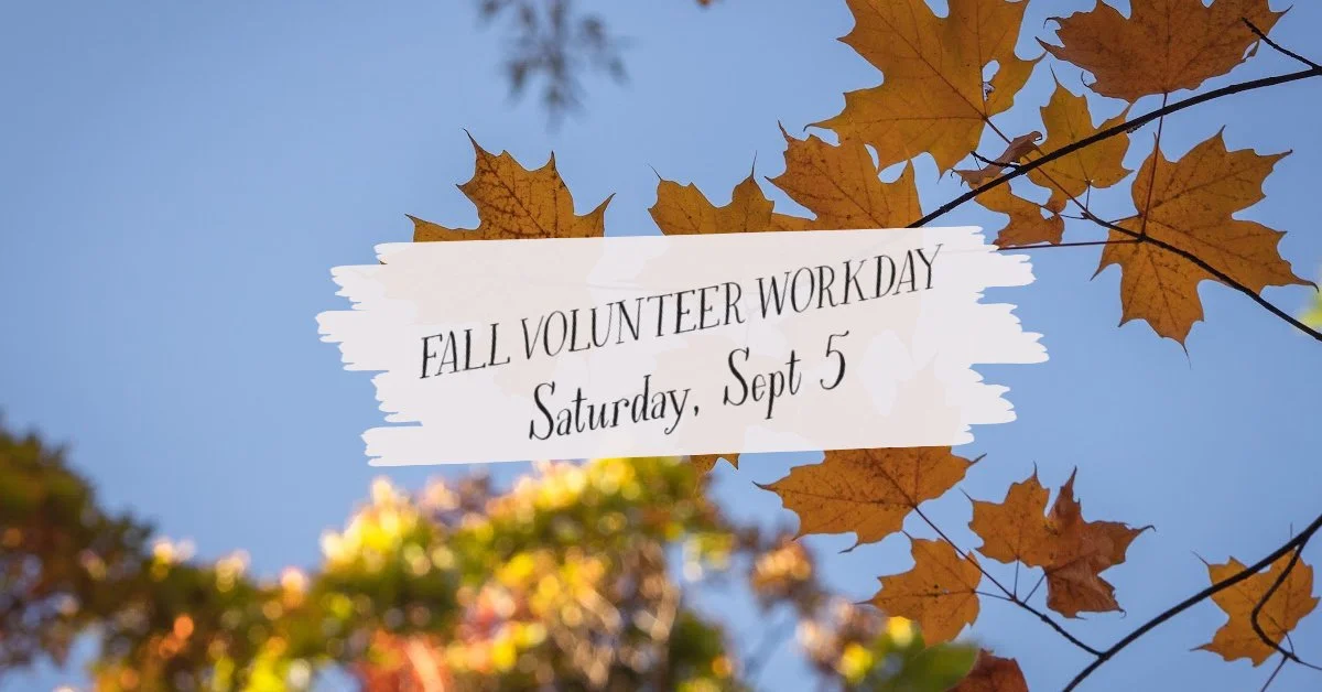 Fall Volunteer Workday