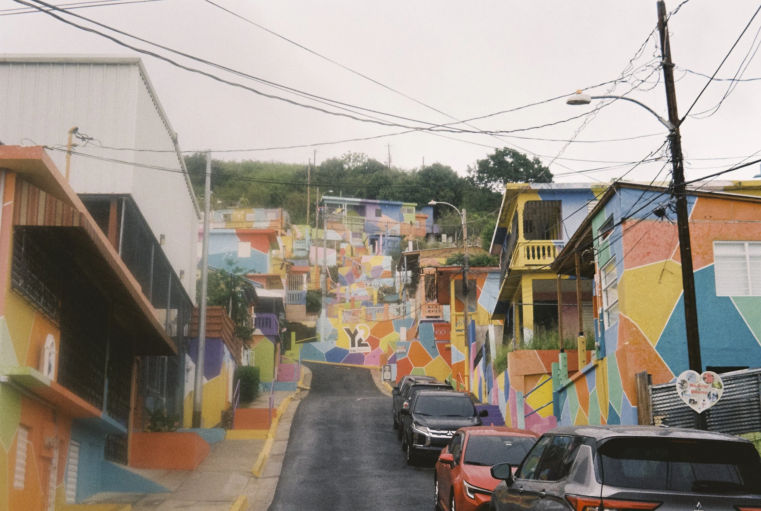 4497-33.jpg