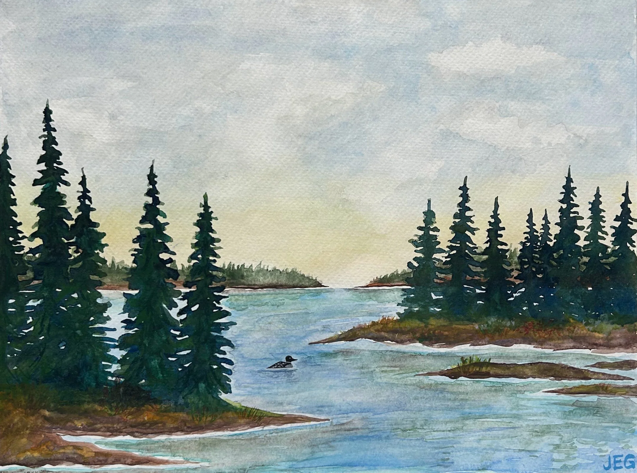 Loon on the water