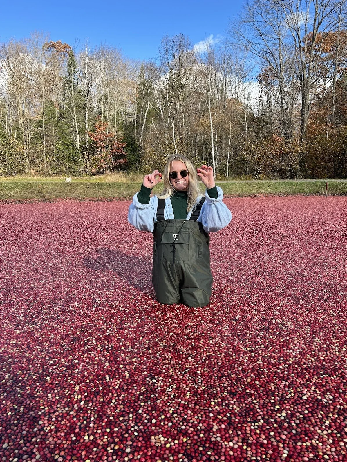 A smiling woman with blonde hair, wearing sunglasses, a green sweater, and brown overalls kneels on a field of colorful berries with autumn trees and a blue sky in the background.