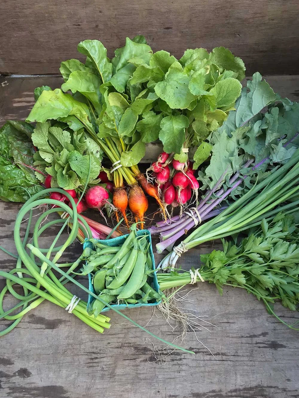 Freshly harvested vegetables including radishes, carrots, green onions, and leafy greens laid on a wooden surface.