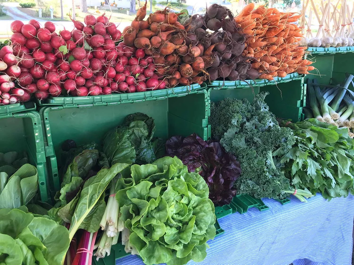 Fresh radishes, beets, carrots, garlic, and leafy greens displayed at a market stand.