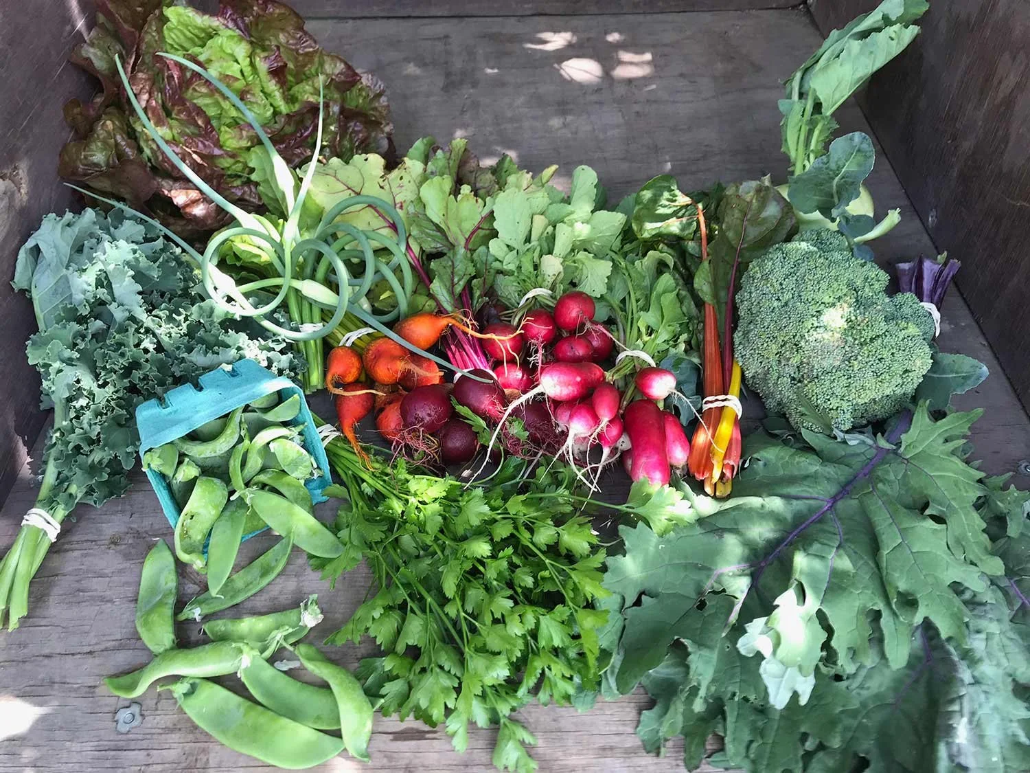 Assorted fresh vegetables on a wooden surface including radishes, broccoli, lettuce, leafy greens, and green beans.
