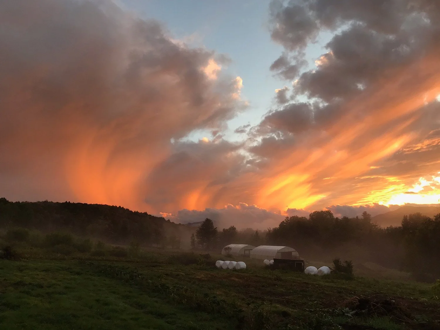 A rural landscape at sunset with a vibrant sky, clouds, trees, and farm buildings with white storage silos.