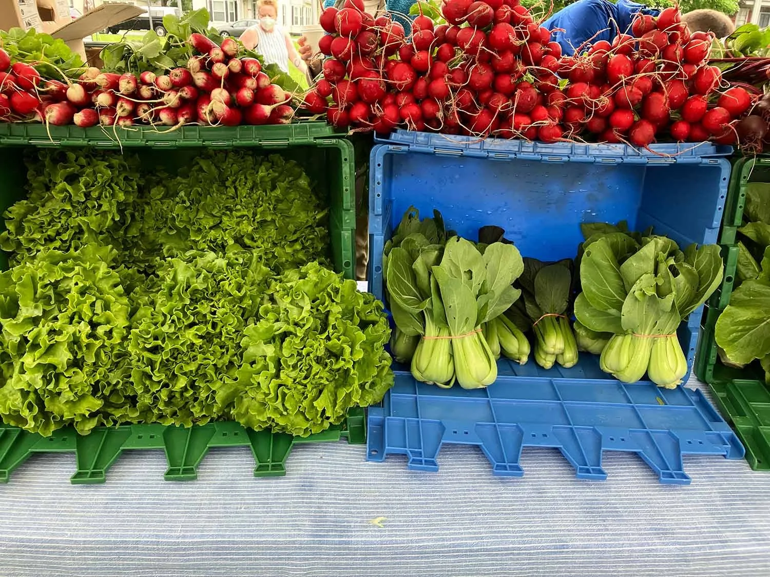 Fresh radishes, lettuce, bok choy, and other greens at a farmers market