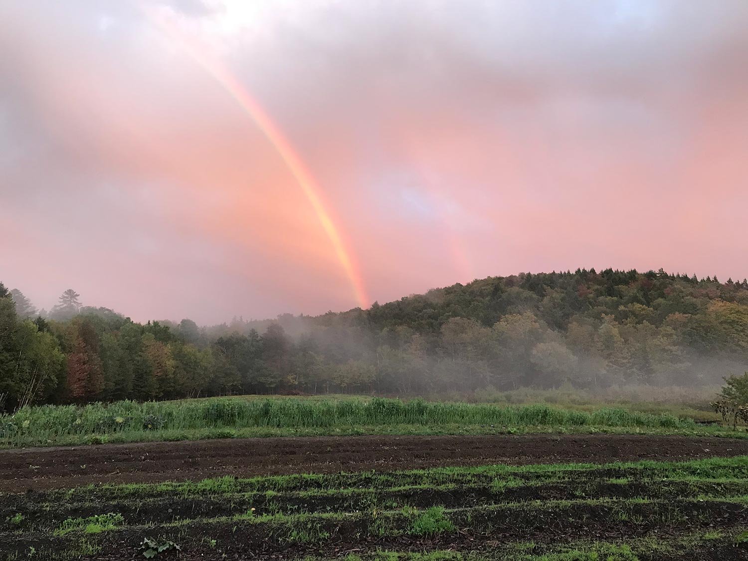 A rainbow arching across a pink and purple sky over a rural landscape with green trees, a hill, mist, and a field.
