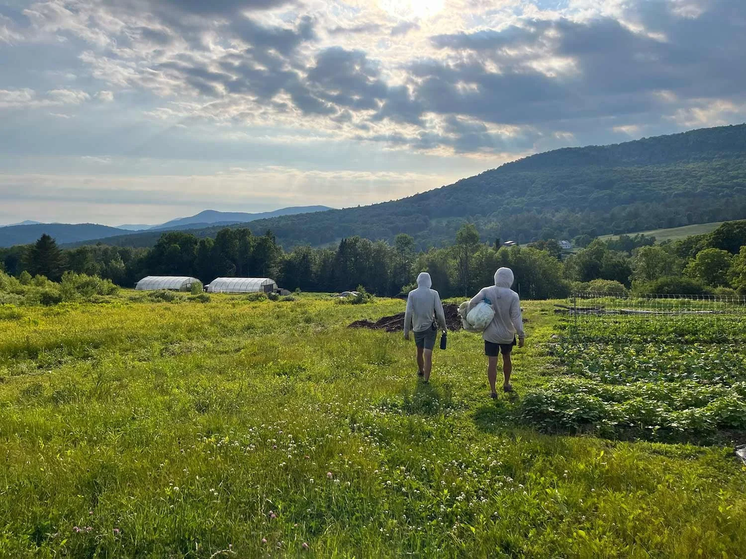 Two people walking on a grassy farm path, carrying gardening tools and supplies, with greenhouses and mountains in the background under a partly cloudy sky.