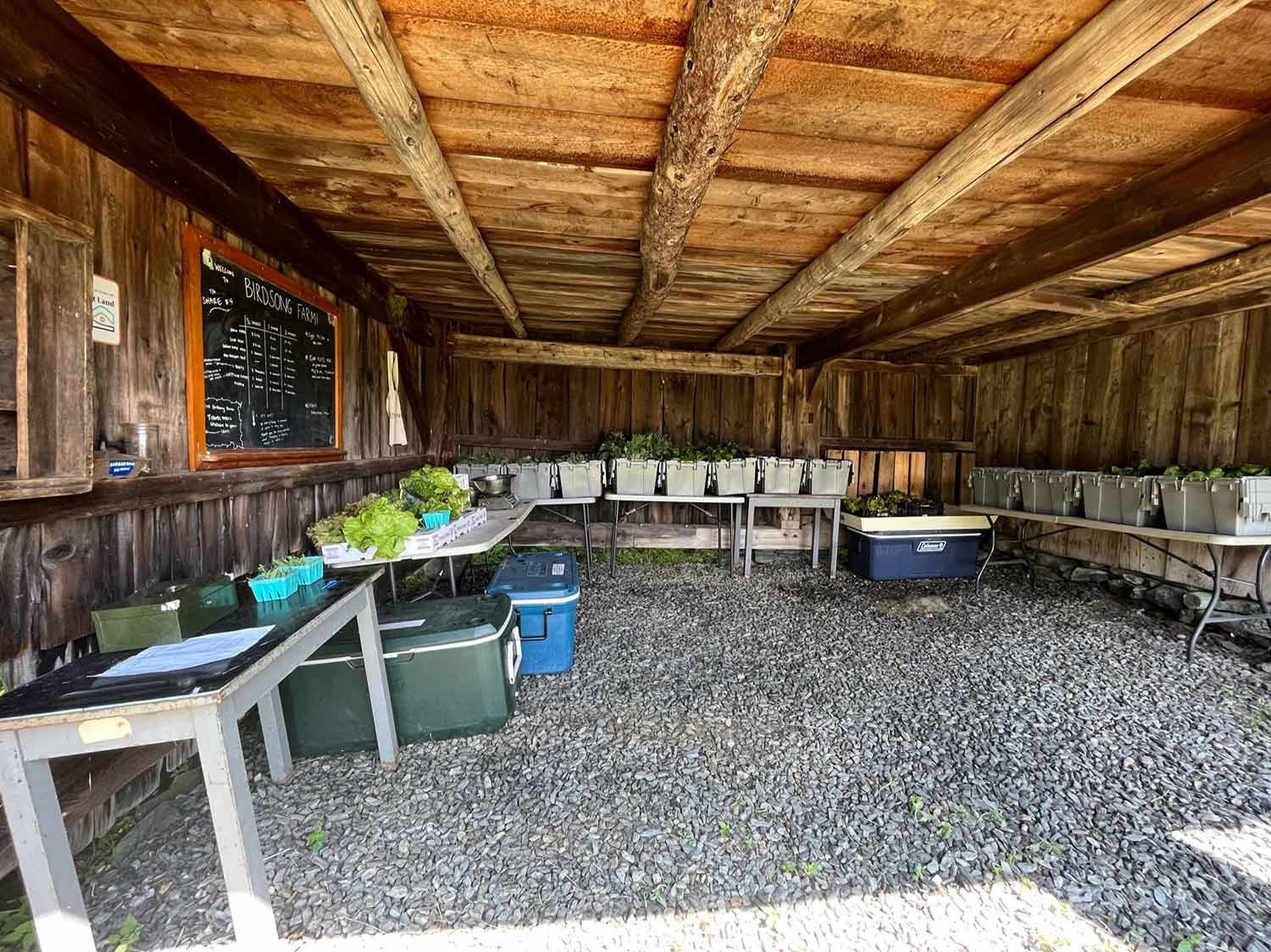 A rustic outdoor farm stand with tables displaying fresh vegetables and plants inside a wooden shelter.