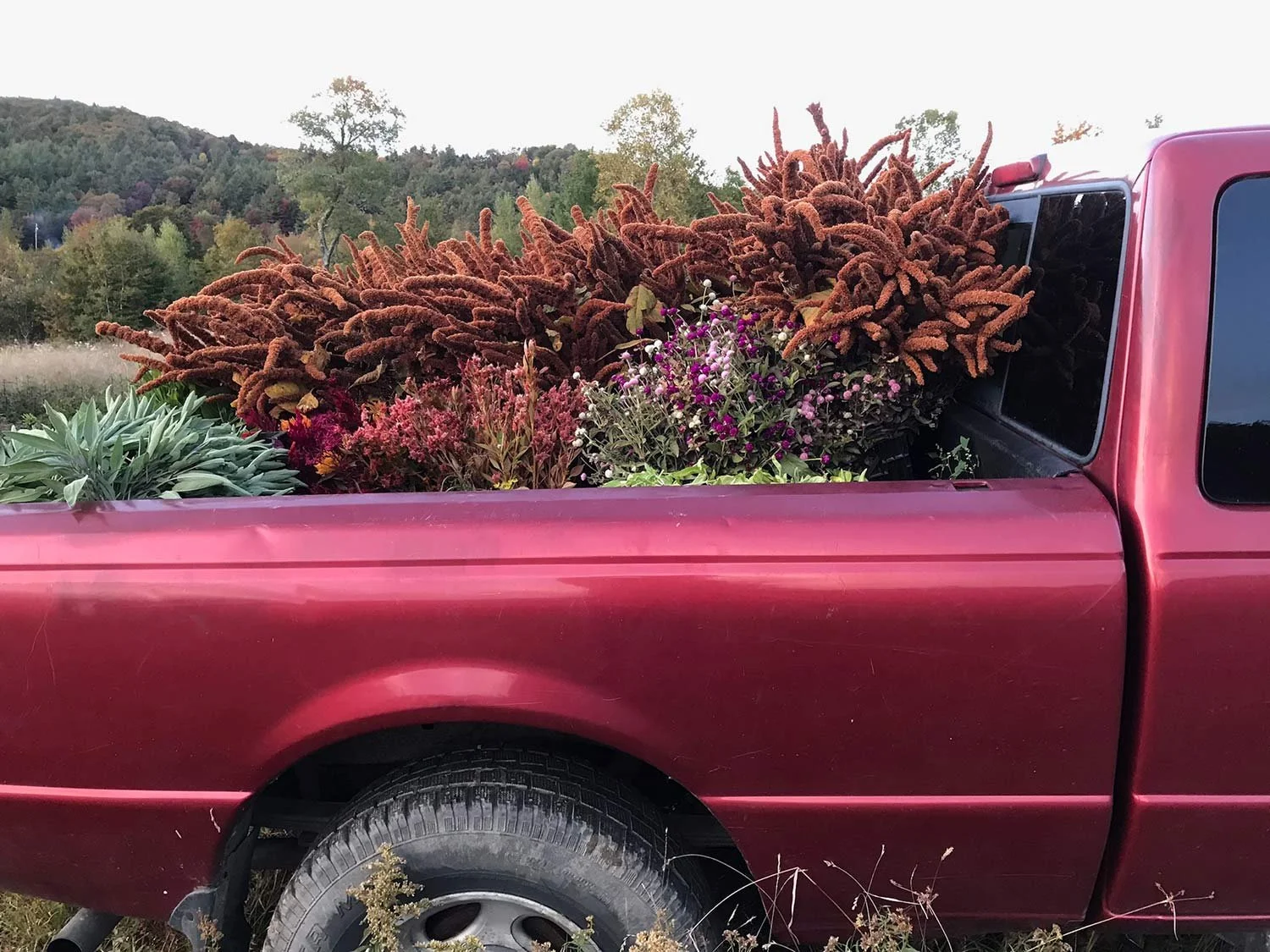 Red pickup truck filled with various flowers and plants in the bed.