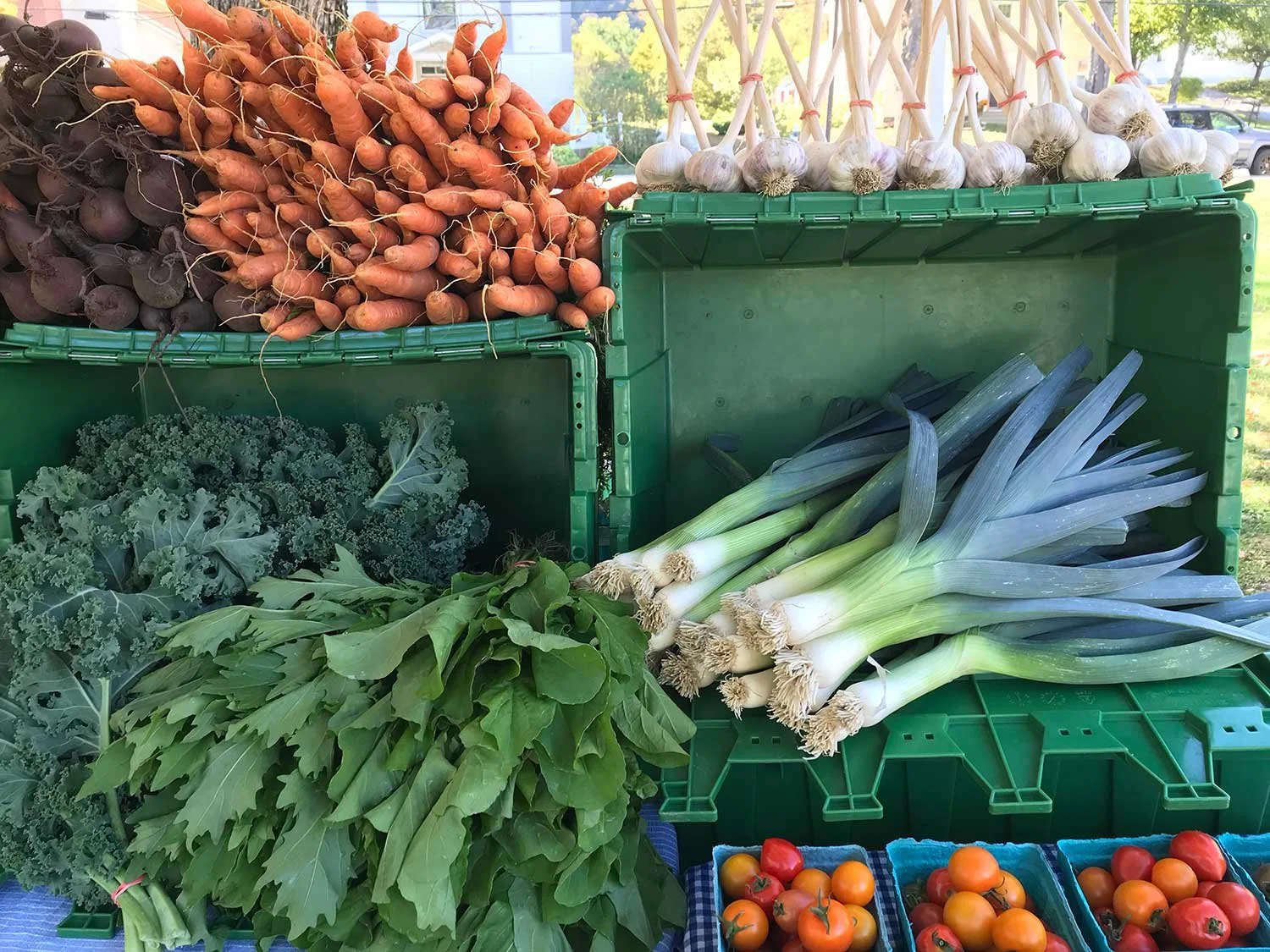 Fresh vegetables on a market stand, including carrots, garlic, leafy greens, and tomatoes.