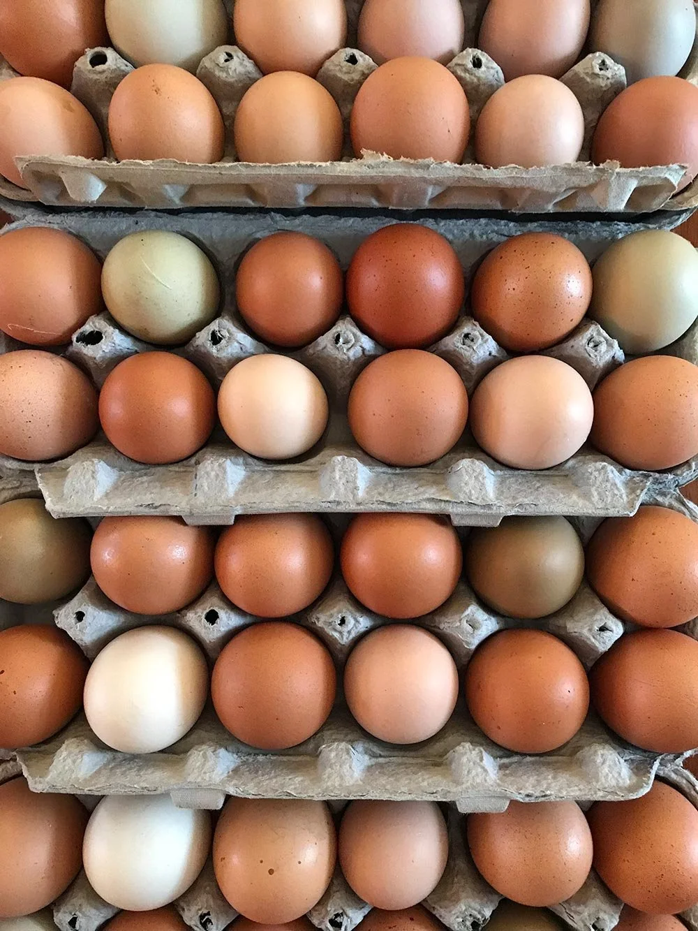 Multiple cartons filled with brown, white, and some black eggs stacked on top of each other.