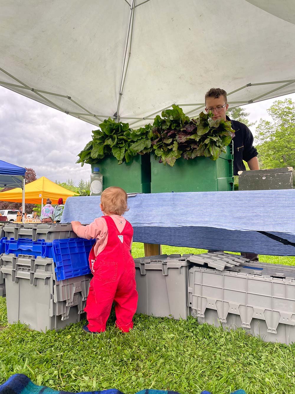 A child in red overalls looking at a man under a white tent at an outdoor market with green leafy vegetables on display.