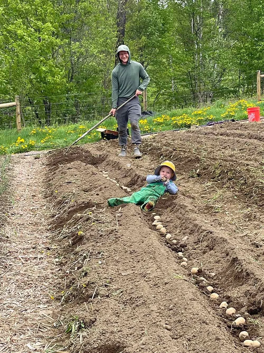 A man planting potatoes, standing with a garden tool, smiling at the camera, while a child in green overalls and a yellow hat is lying in the potato bed