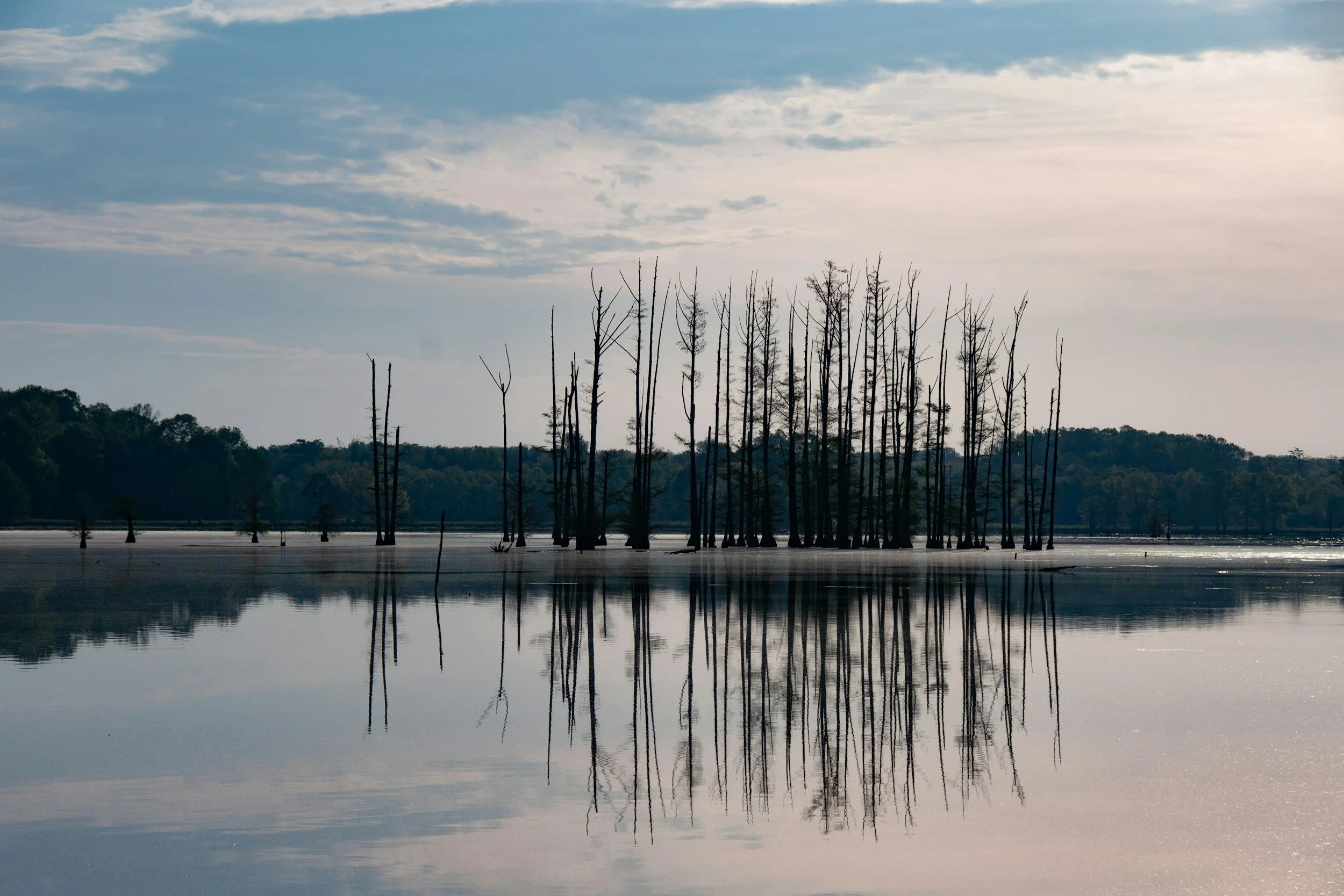 Utah’s Waterways Are Under Attack — From Below the Surface