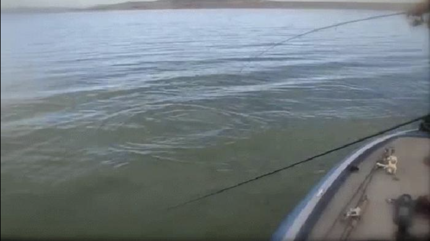 When Rough Weather Wins: Flaming Gorge’s Fatal Boating Record and What It Leaves Behind