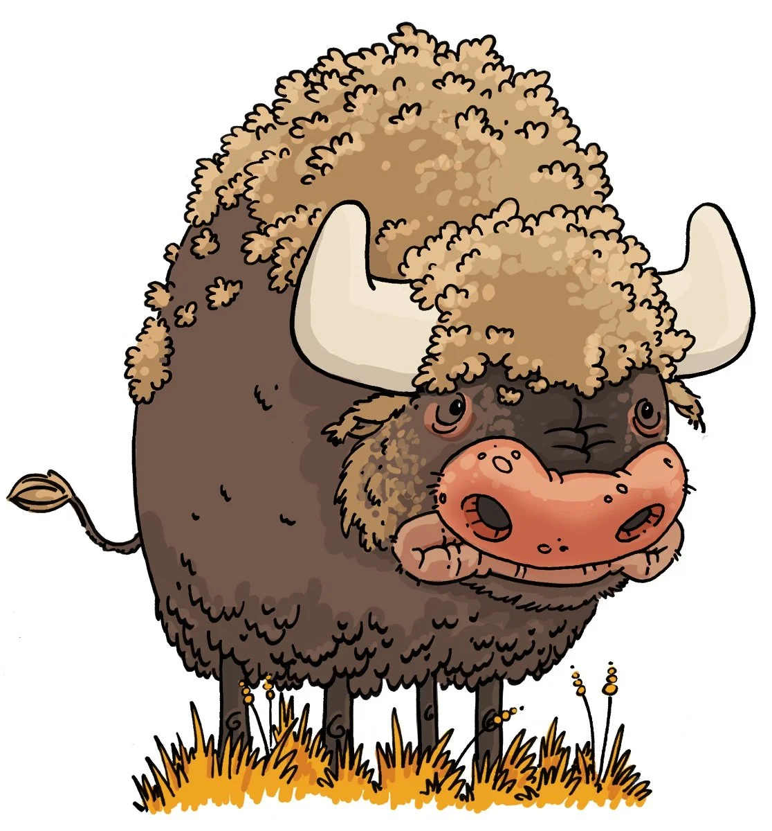 buffalo-1.jpg
