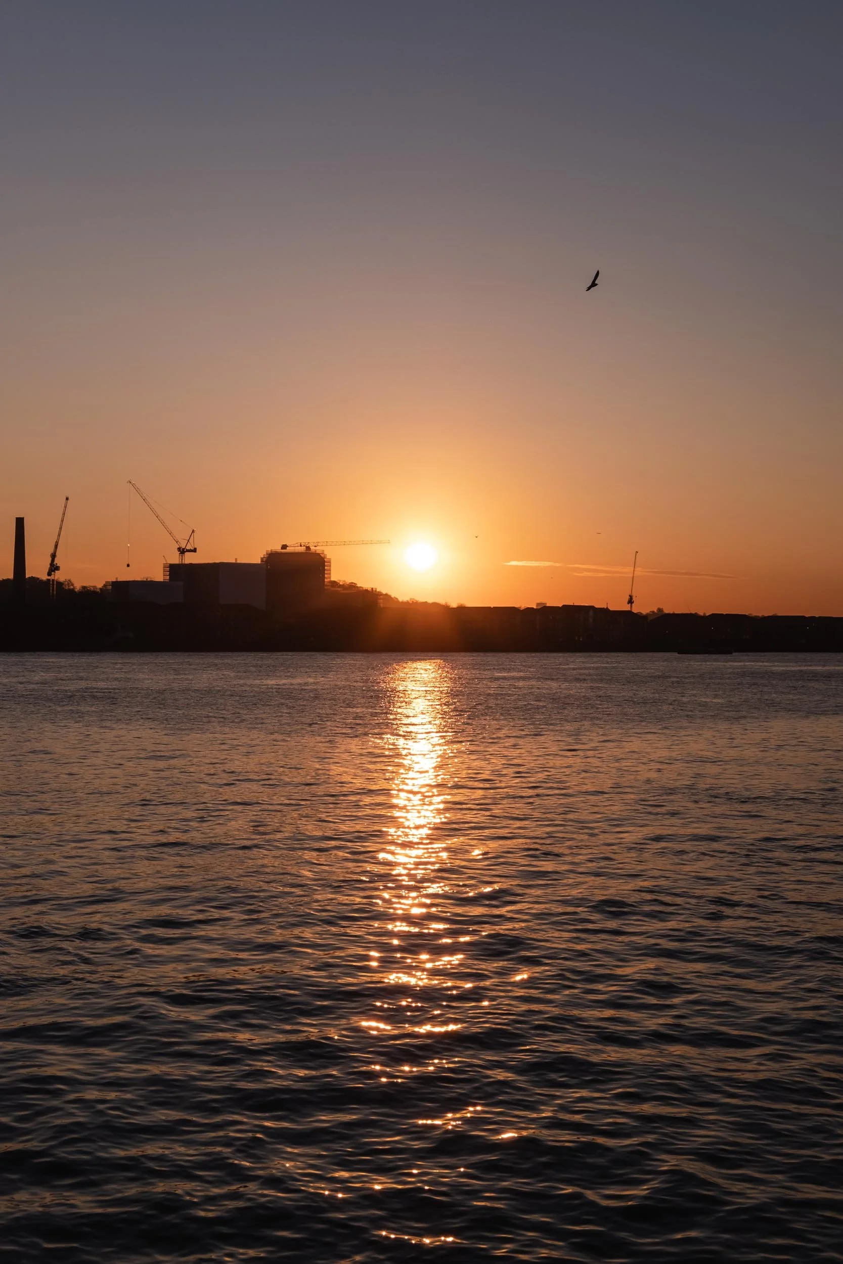 Sunset over the River Thames, viewed south over the calm waters to Lewisham and developments, from Royal Docks, east London, E16.