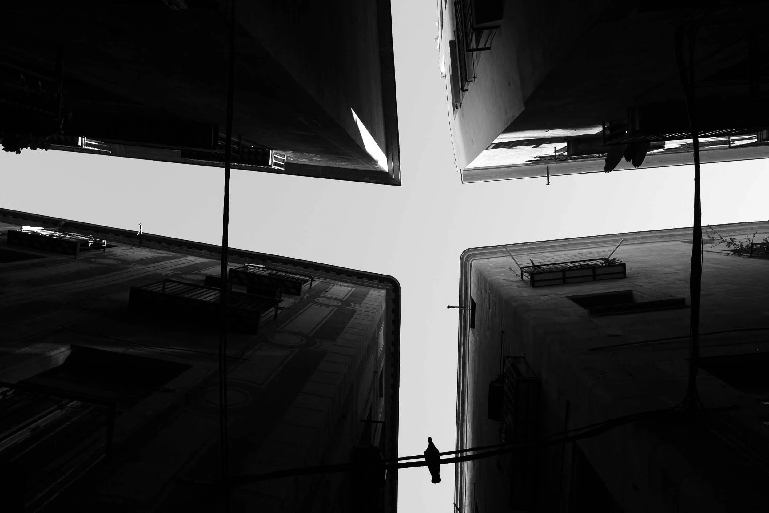 A black and white image looking up at a single pigeon in Barcelona's Gothic Quarter