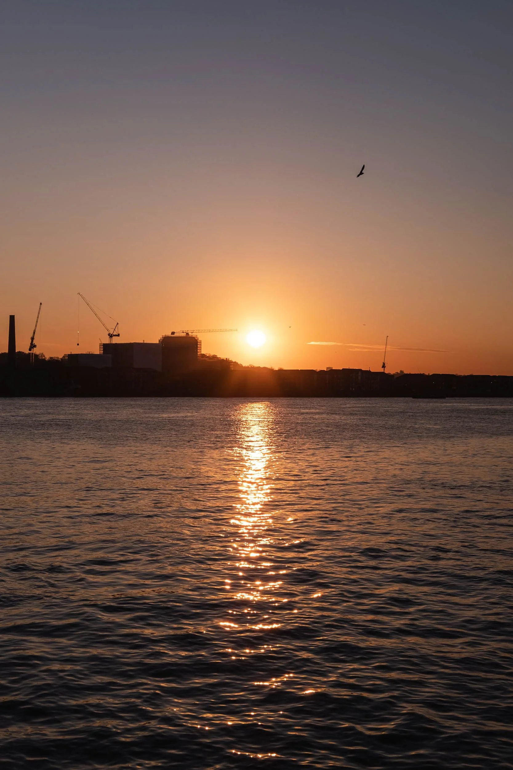 Sunset over the river thames in east london as a bird flys over the industrial silhouette skyline the water gleams with golden orange hues of golden hour