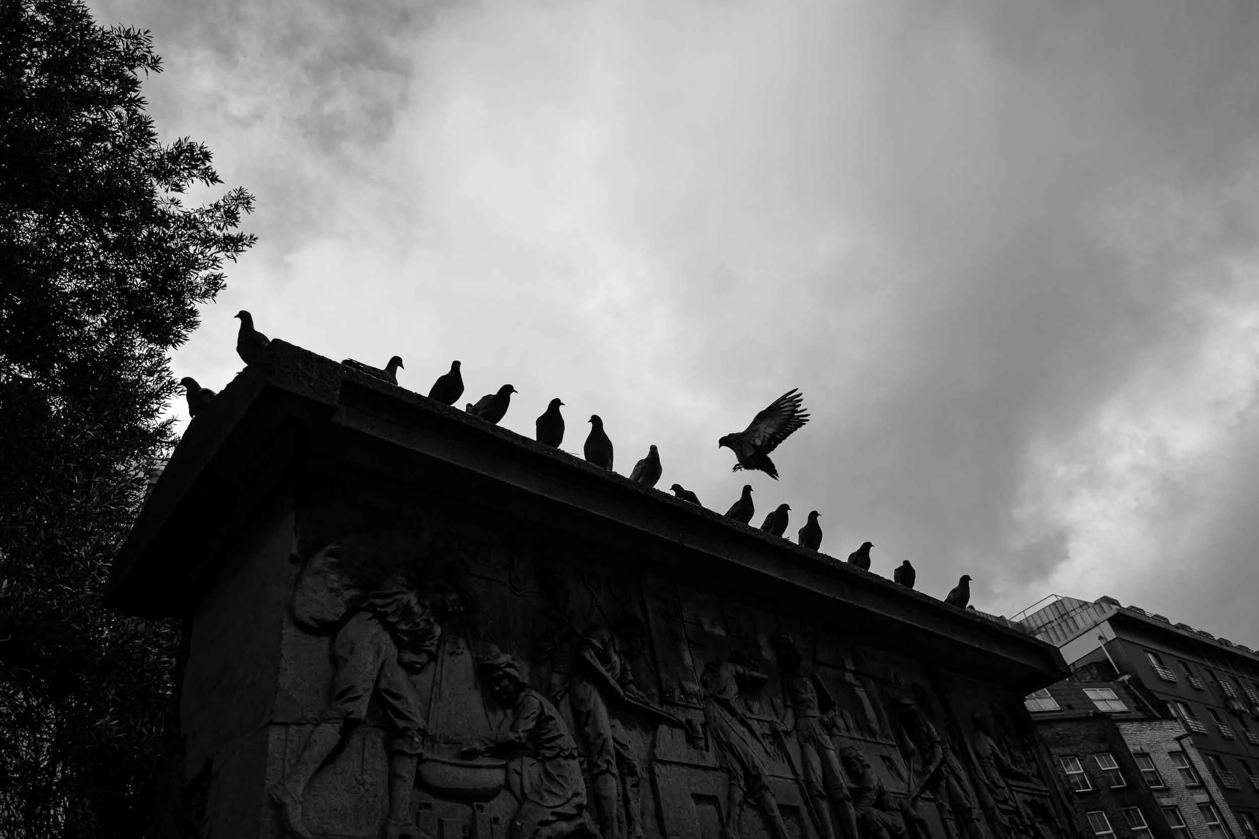 Black and white scene of pigeons gathering atop a memorial near Barbican Centre in London pigeon frozen in flight
