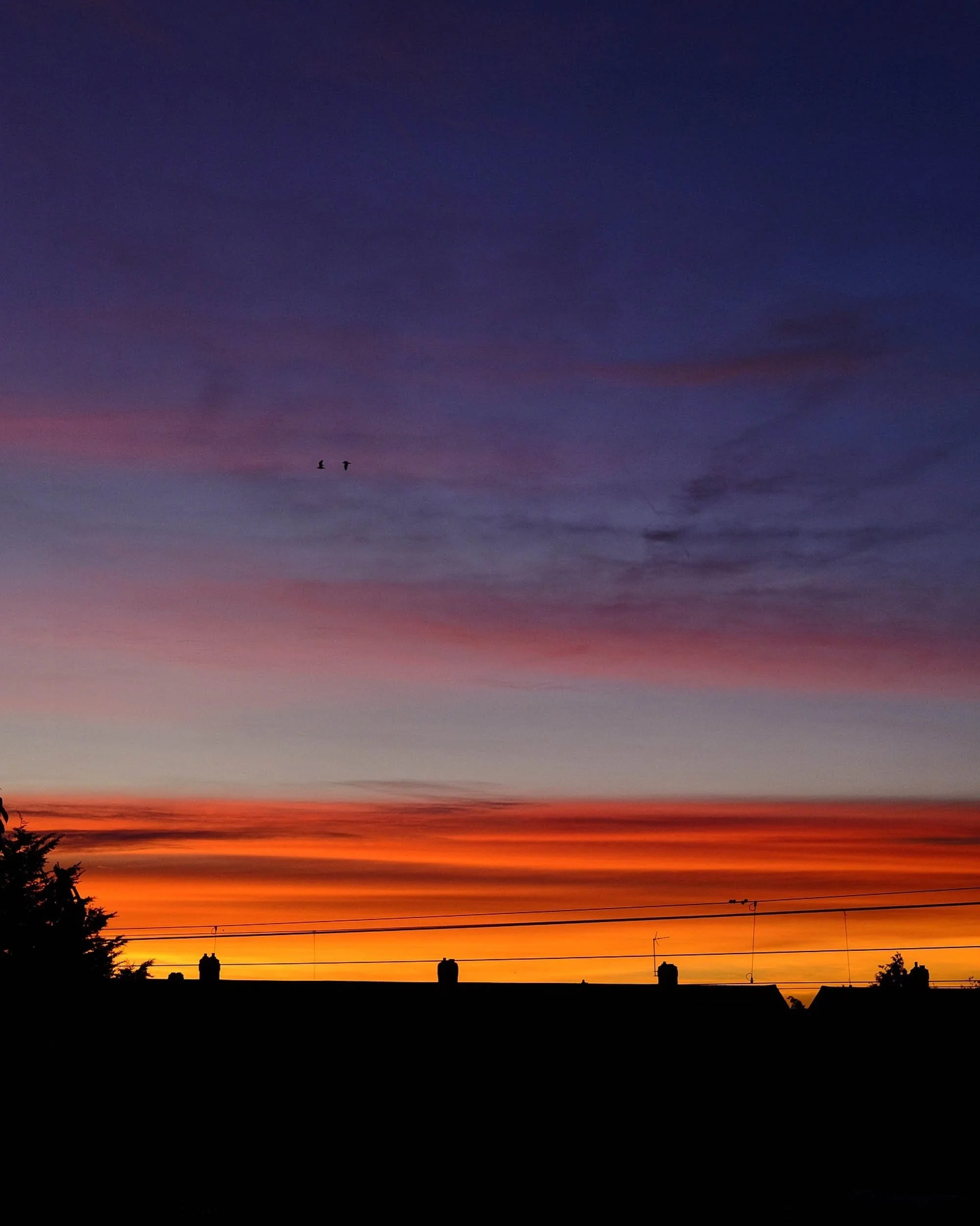 Sunset over a suburban neighborhood with colorful sky, silhouettes of houses, trees, and power lines.