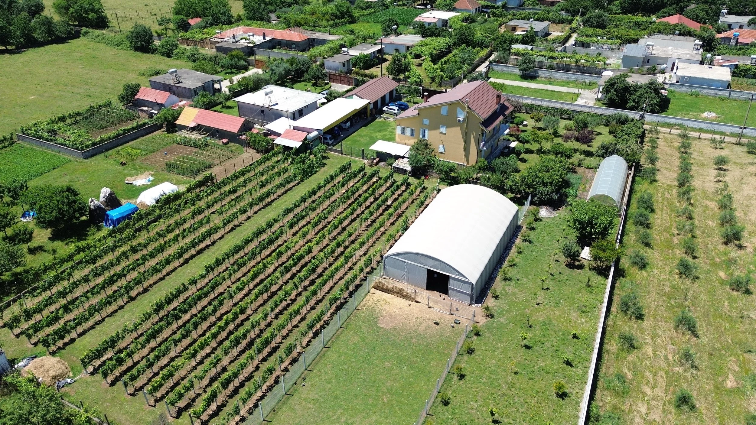 Aerea di un'area rurale con campi coltivati, serre e abitazioni, circondata da vegetazione e alberi.