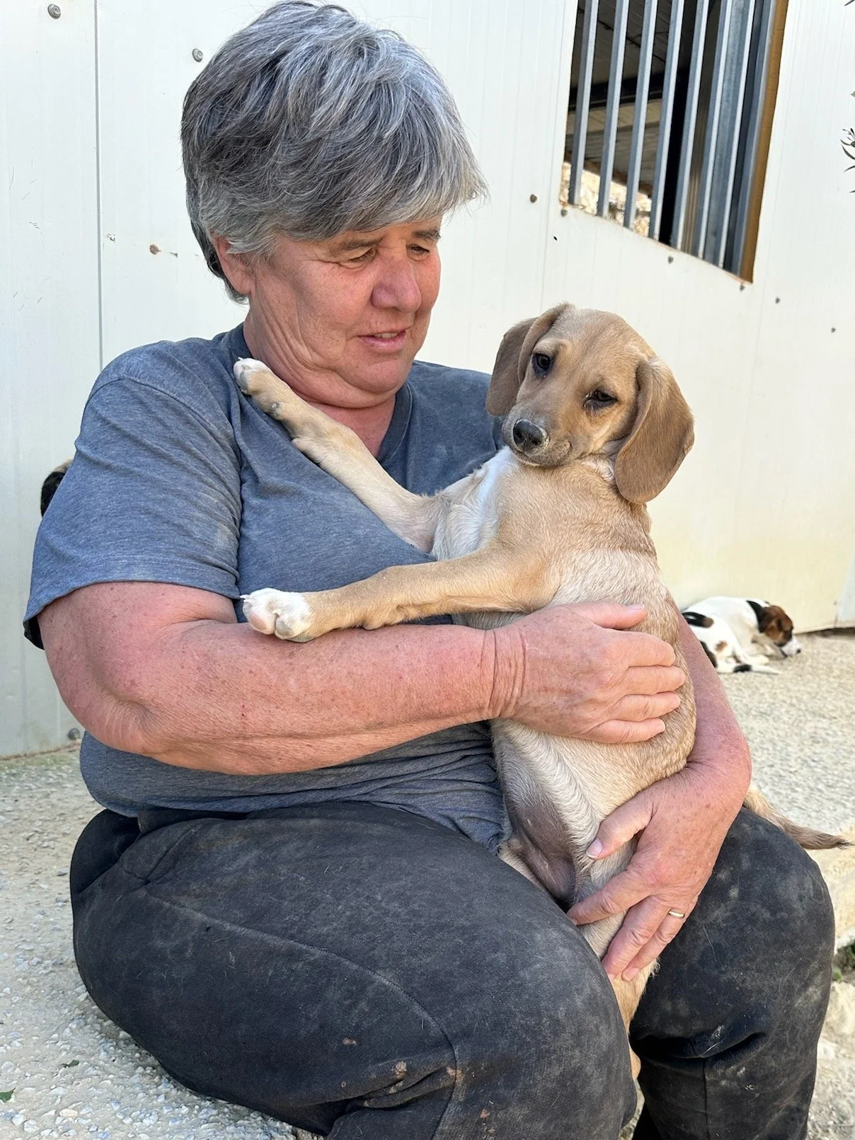 Karen umarmt einen Welpen, während ein Hund im Hintergrund auf dem Boden liegt.