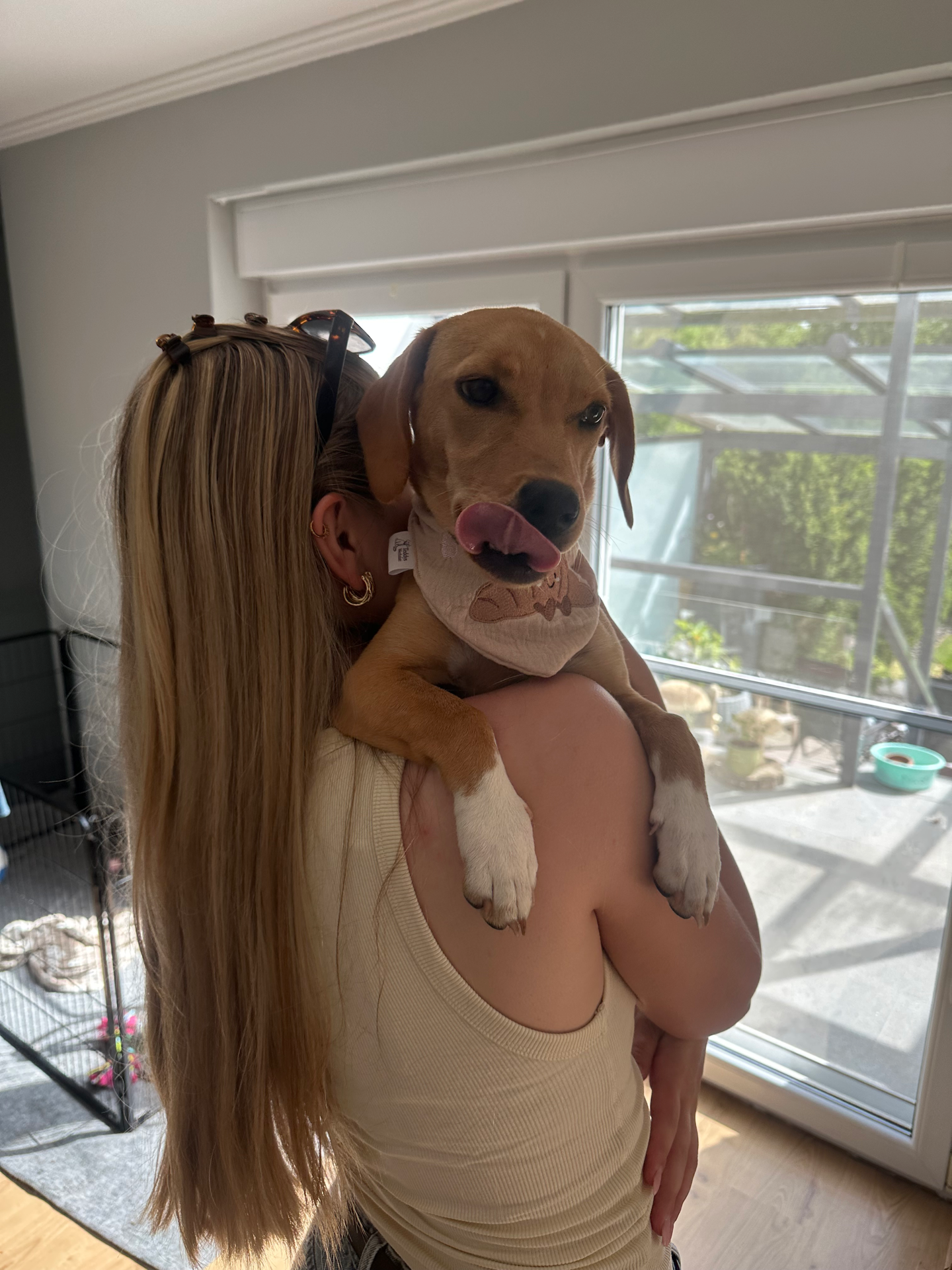 Hailey