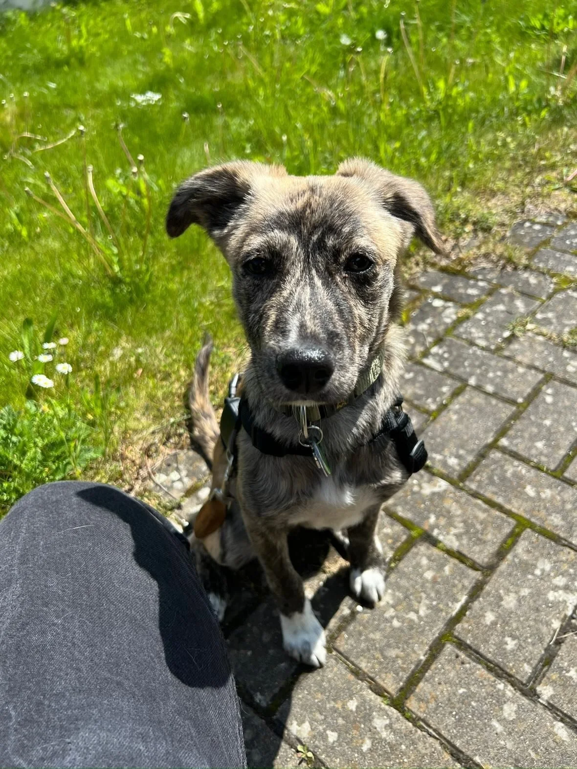 Kira