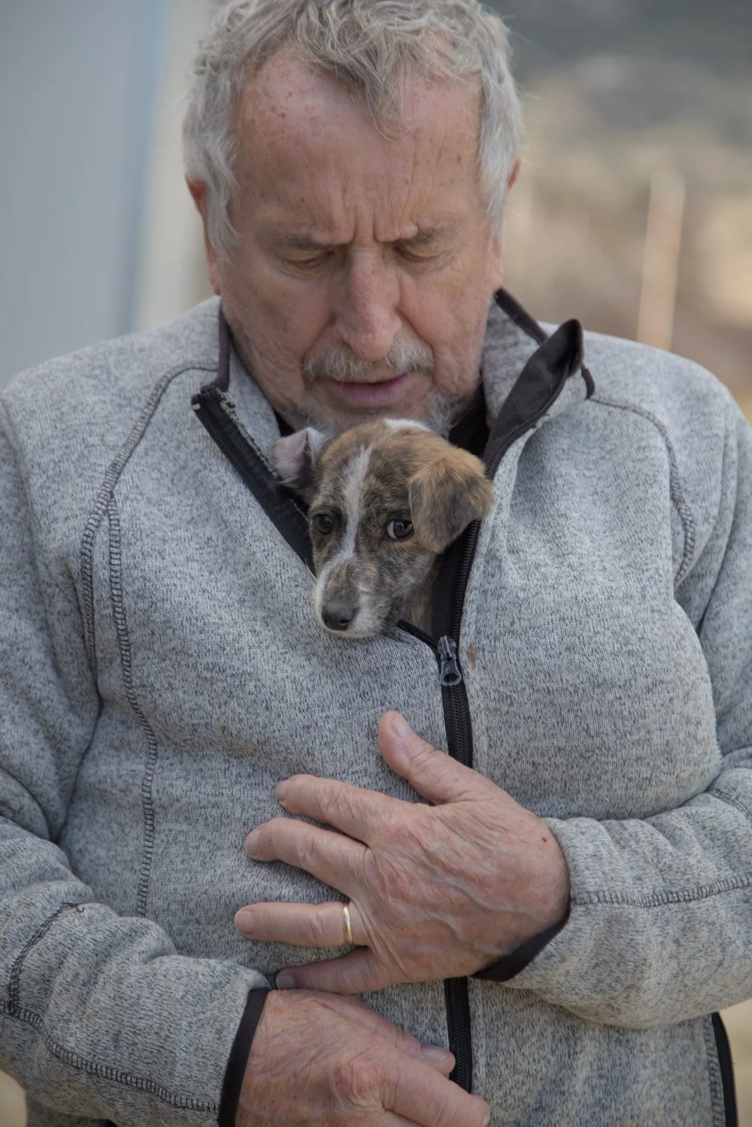 Ein älterer Mann hält ein kleines Hundewelpen, das aus seinem Jackenkragen schaut, in den Händen. Der Mann trägt einen grauen Pullover, hat graues Haar und einen grauen Bart, und schaut liebevoll auf den Welpen.