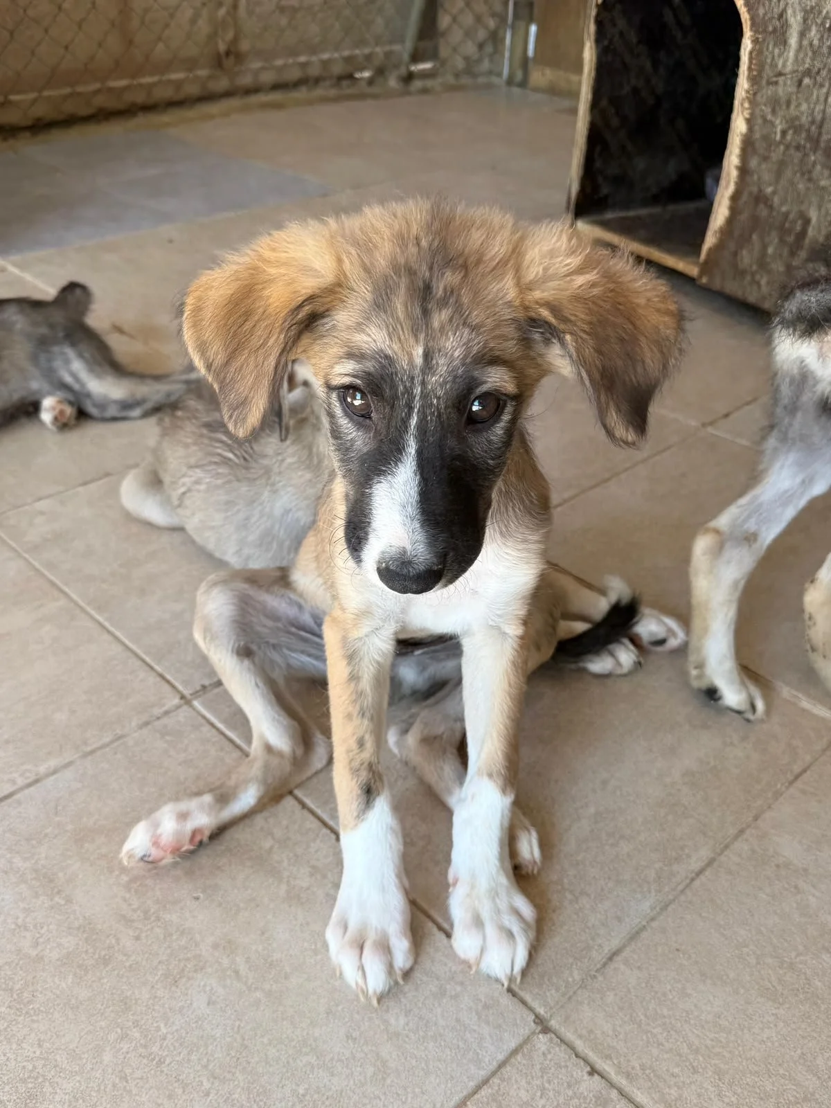 WhatsApp Image 2026-09-18 at 21.35.43.jpeg