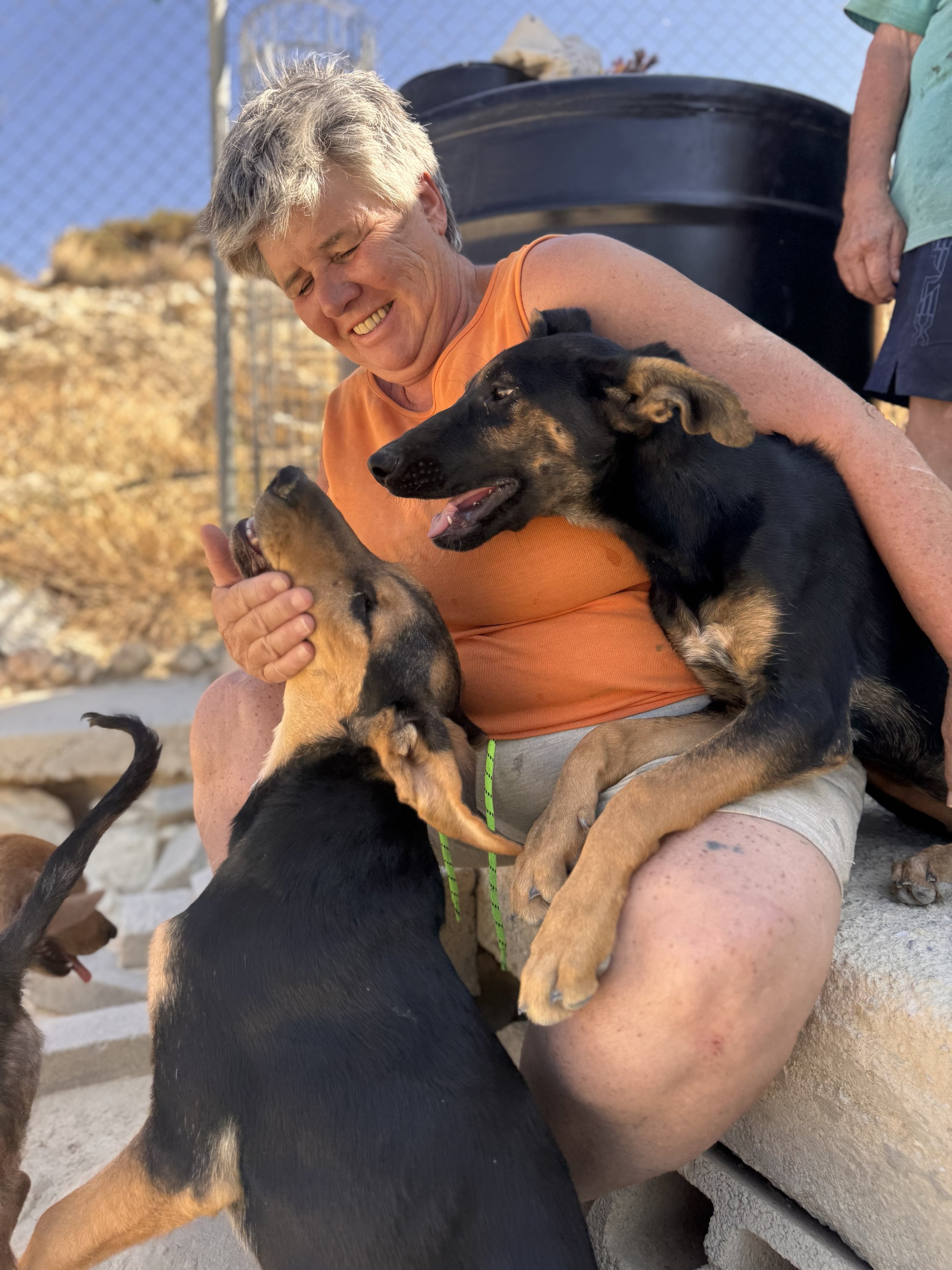 Karen umarmt zwei schwarze und braune Hunde, während sie im Freien bei Sonnenlicht sitzt.