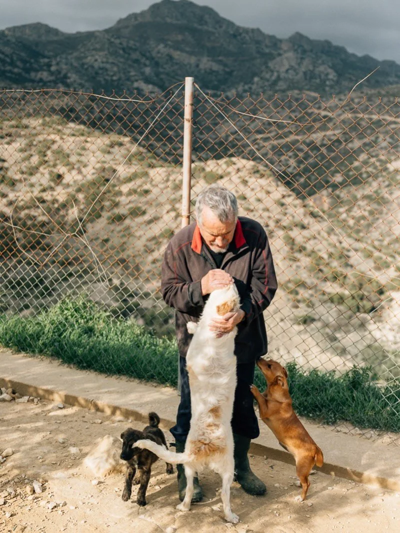 Wolfgang umarmt einen großen weißen Hund, während ein kleiner brauner Hund auf ihn springt und eine schwarze Welpe neben ihm steht. Im Hintergrund eine Berglandschaft und ein Drahtzaun.