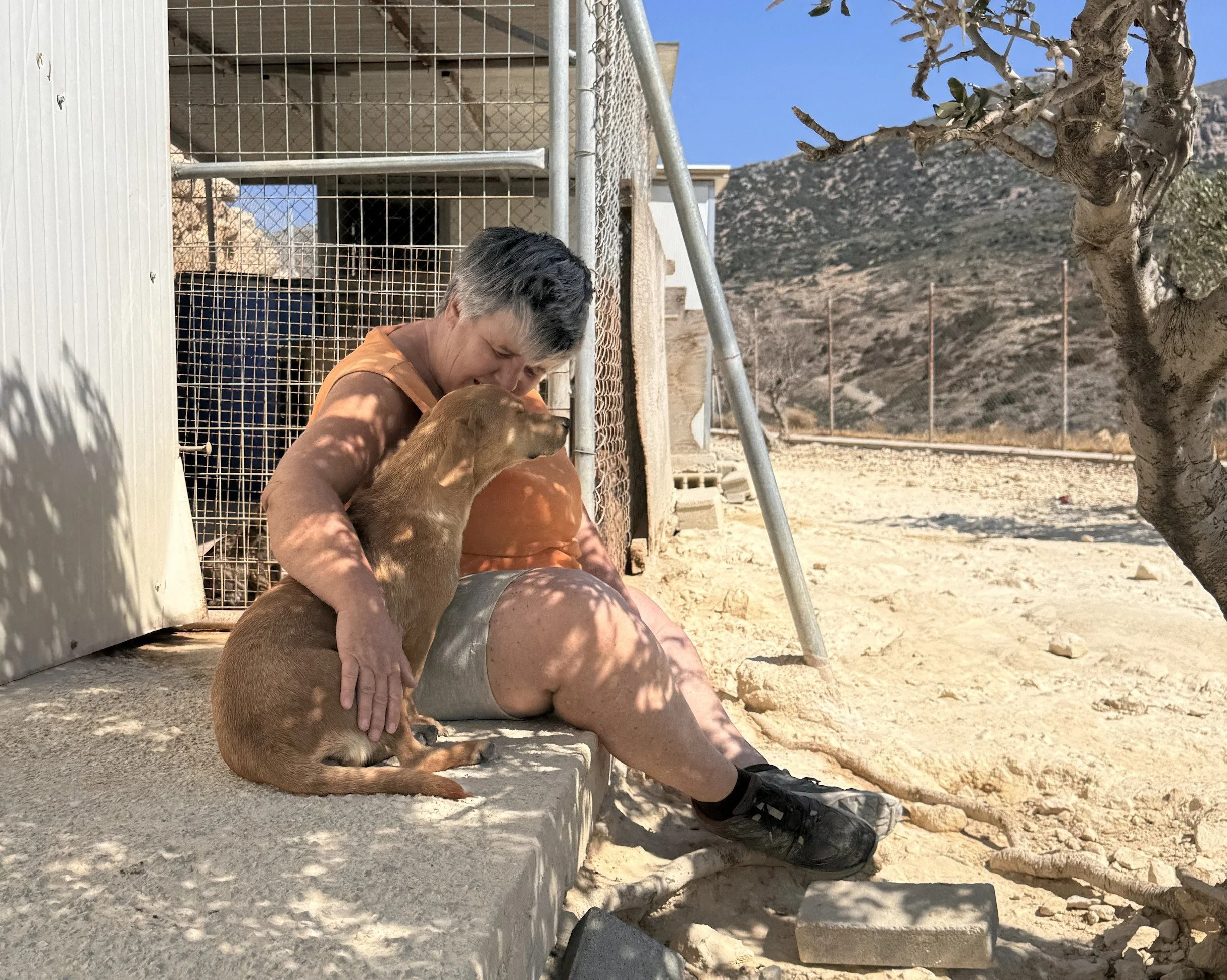 Ein Frau sitzt im Schatten eines Baumes, streichelt einen kleinen braunen Hund, während er im Hundekäfig auf einer Terrasse sitzt. Das Bild ist in einer Wüstenlandschaft mit Bergen im Hintergrund aufgenommen.