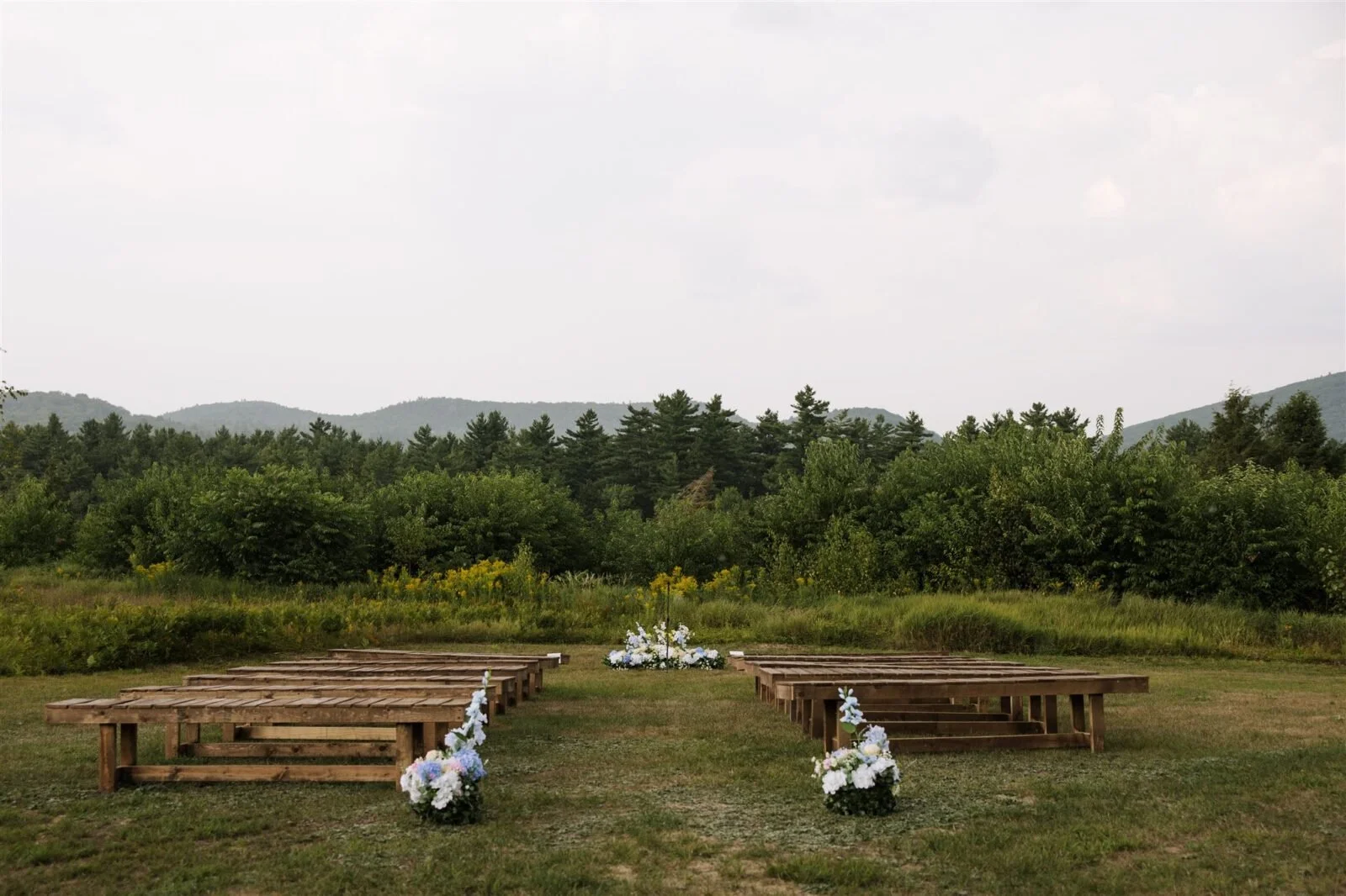 blue spruce 4.jpg