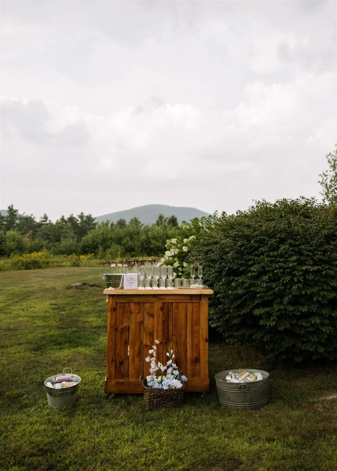 Outdoor setting with a wooden bar in a grassy field, surrounded by bushes and trees, set up with glassware and flowers, mountains in the background, overcast sky.