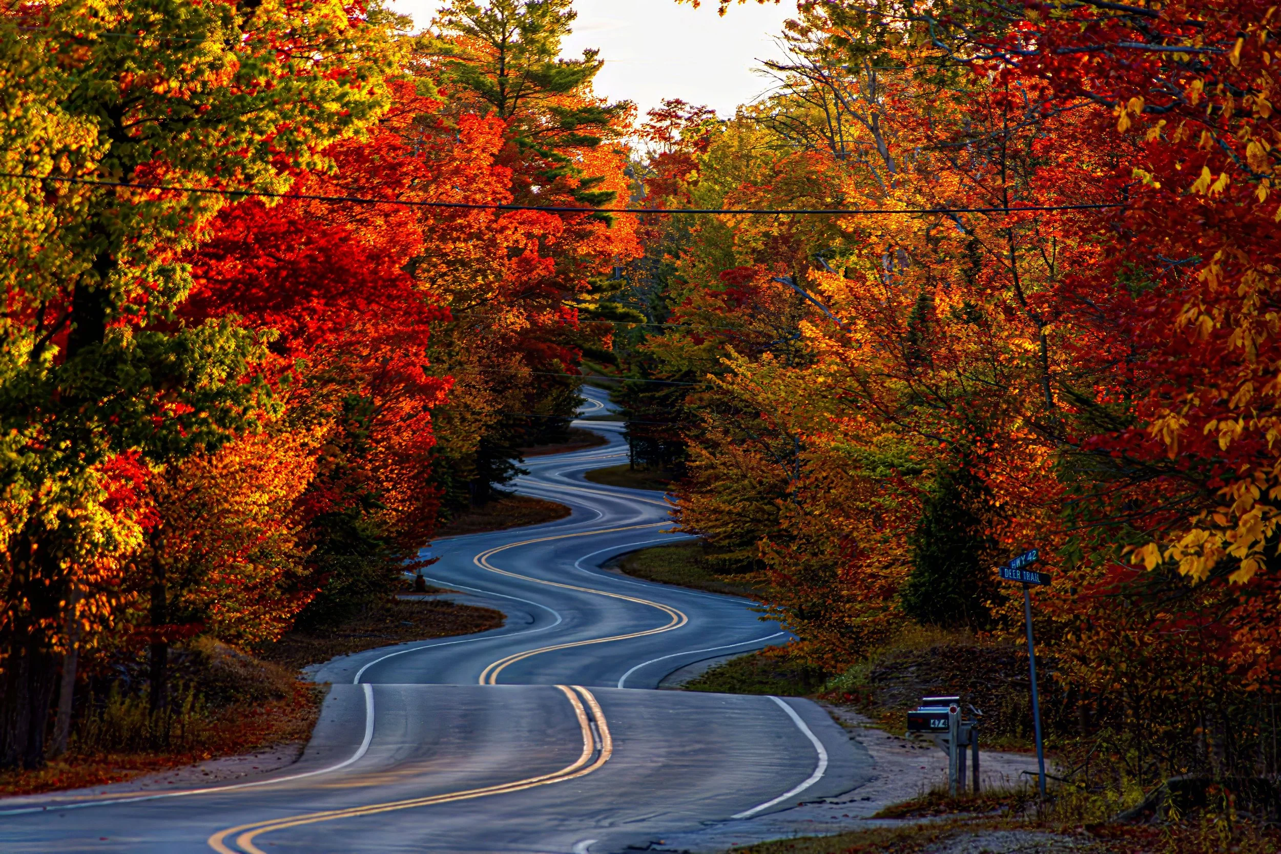 A winding mountain road surrounded by vibrant autumn trees with red, orange, and yellow leaves, and a street sign at the corner.